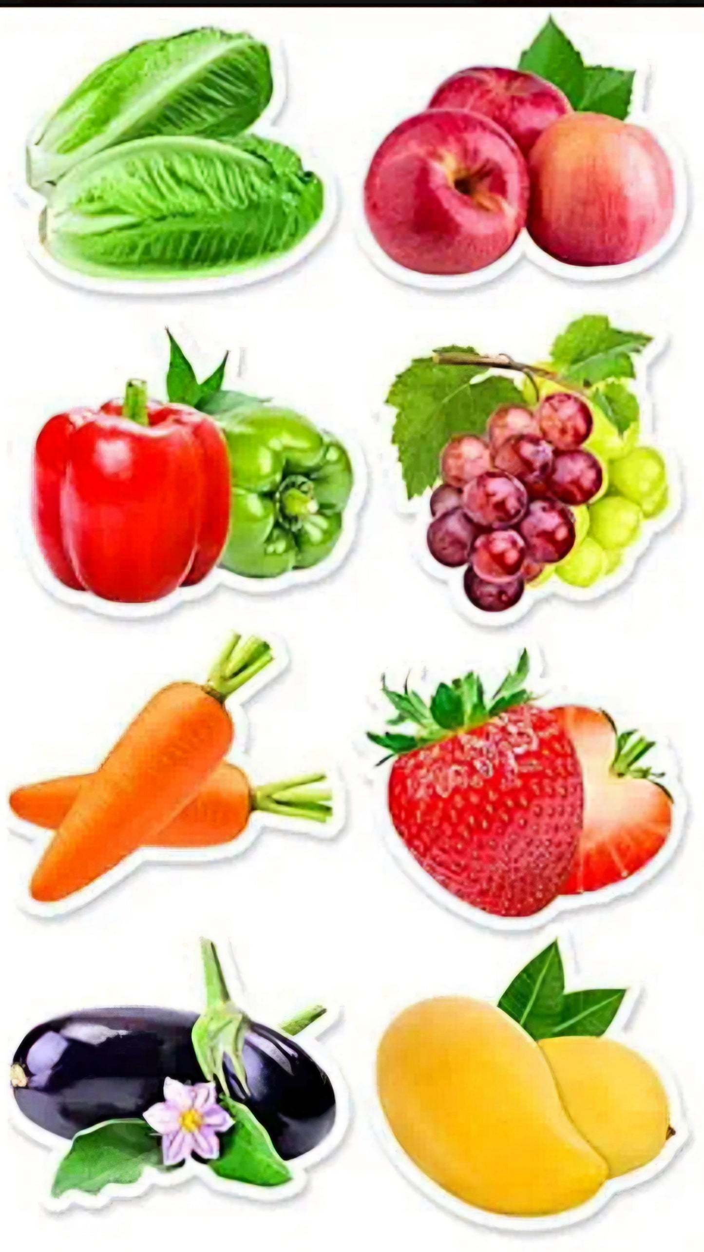Stickers Frutas y Verduras - 500 unidades